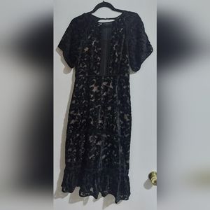 Foxiedox velvet burnout dress